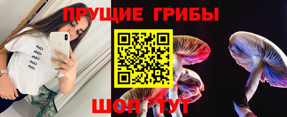 Галлюциногенные грибы прущие грибы Ярцево